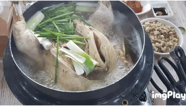 숲속에바다 사진 3