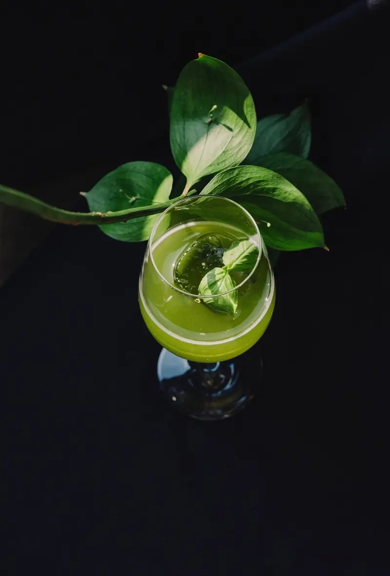 시냅스 사진 3