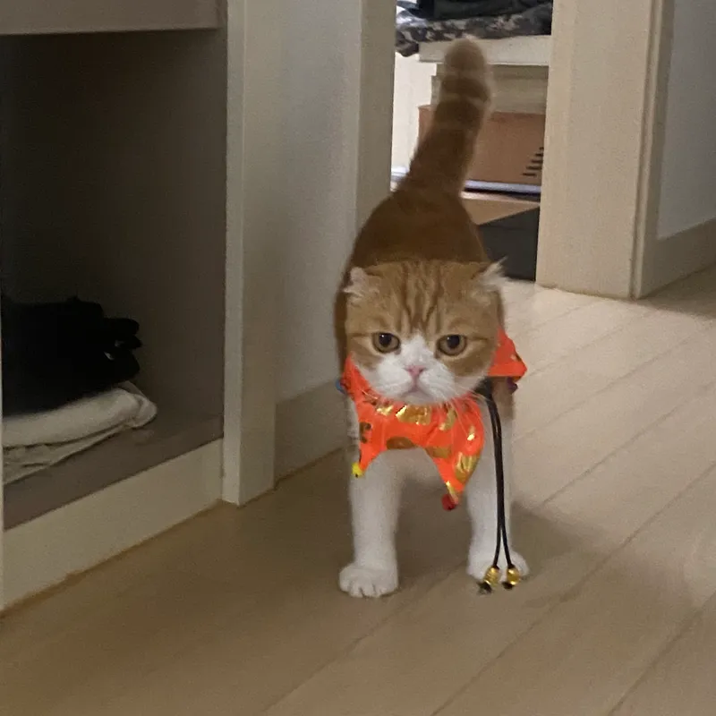 원 인 어 먼스 사진 6