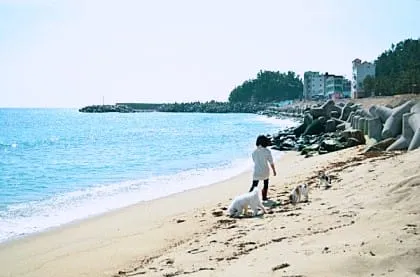 놀러와 펜션 사진 6