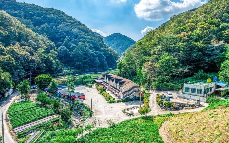 파파지붕 사진 2