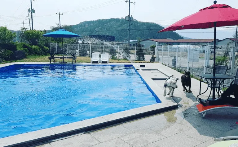 바우와우펜션 사진 4