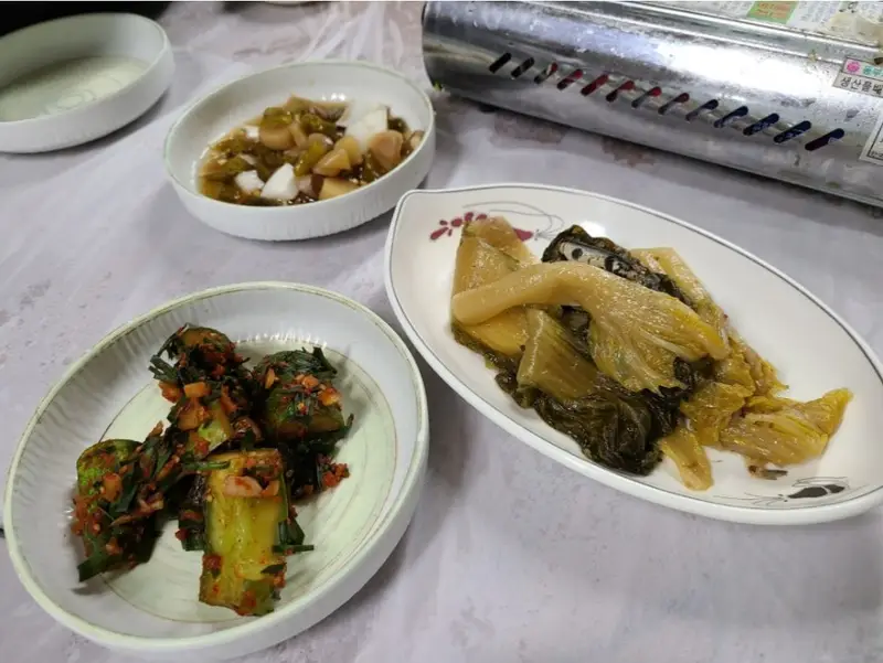 계곡애견쉼터 사진 4