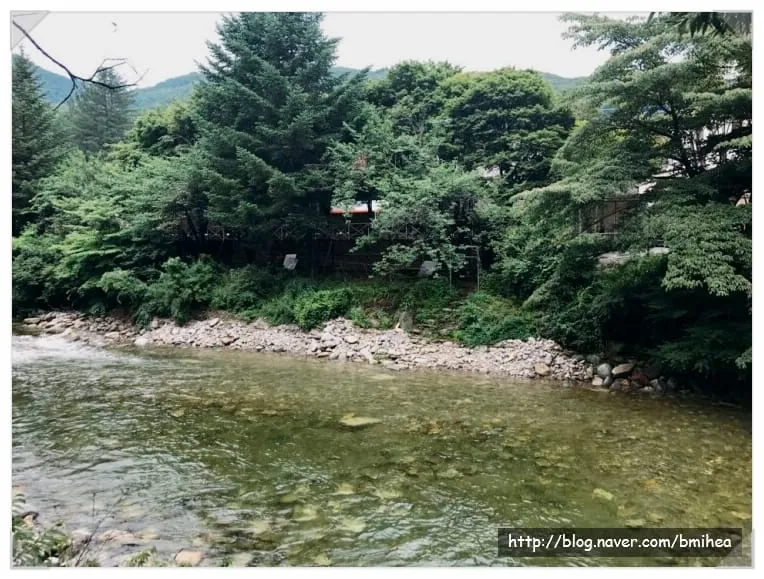 무주산책펜션 사진 6