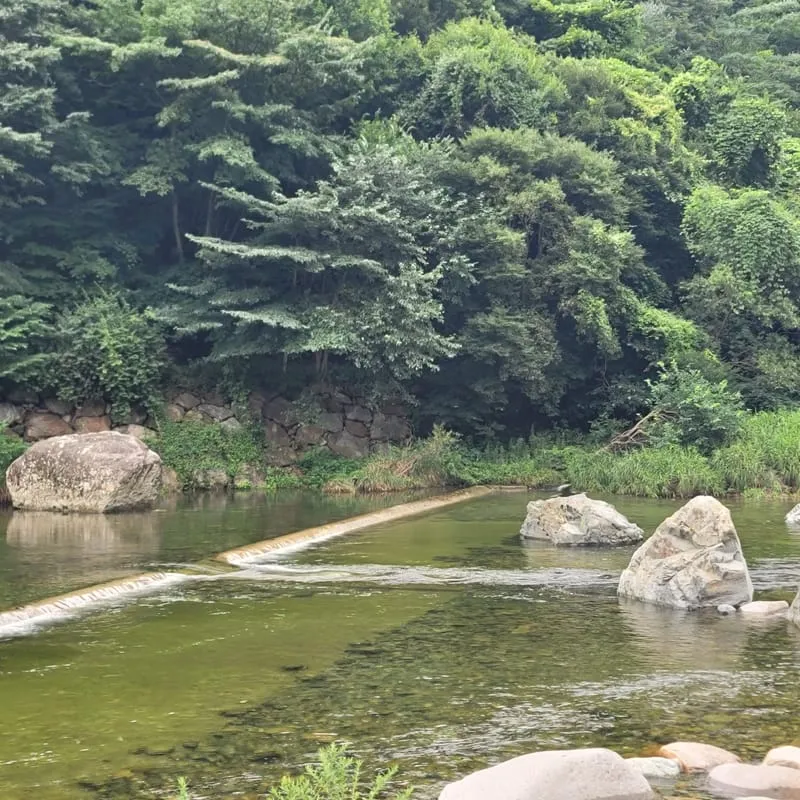 배내골작은영토펜션 사진 2