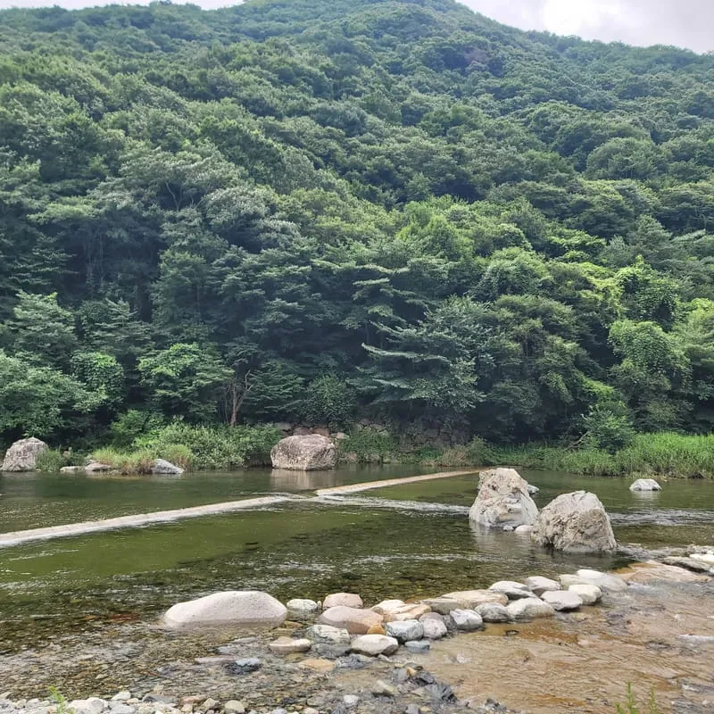 배내골작은영토펜션 사진 3