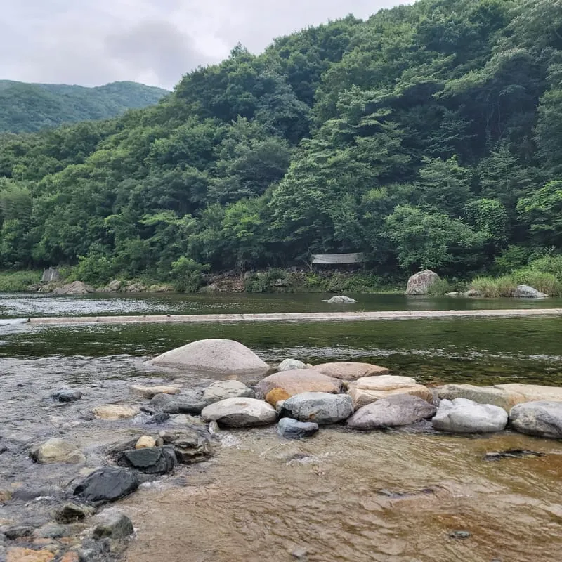 배내골작은영토펜션 사진 4