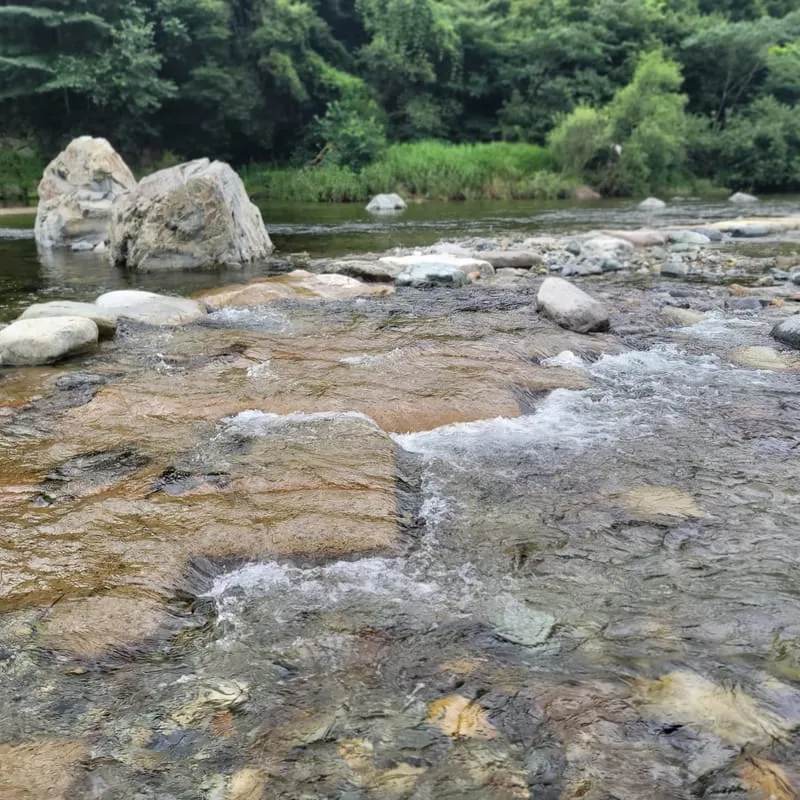 배내골작은영토펜션 사진 5