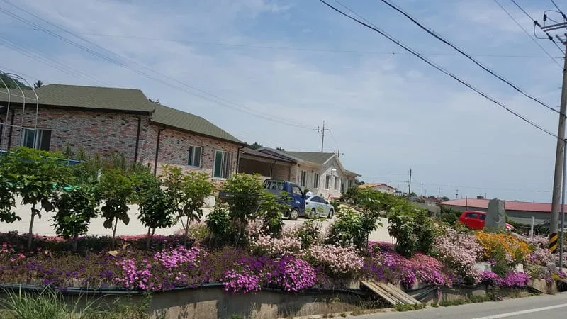 소안도 미소펜션 사진 1