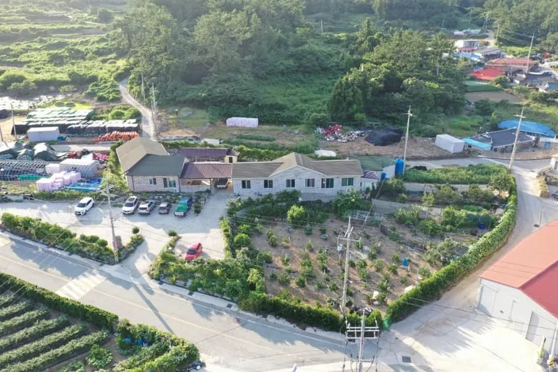 소안도 미소펜션 사진 2