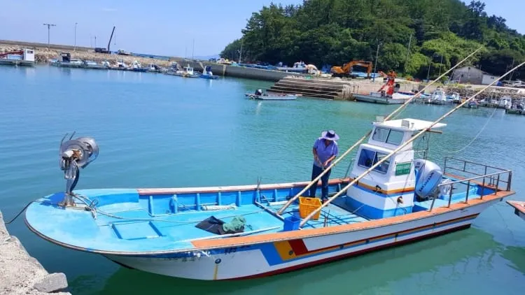 소안도 미소펜션 사진 5