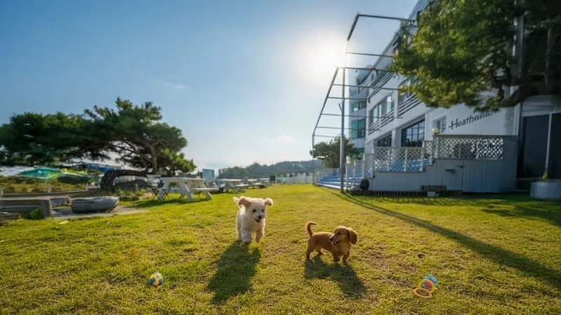 고성 멍스테이 사진 2