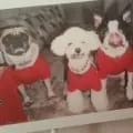 깔끄막 희컨집 사진 2