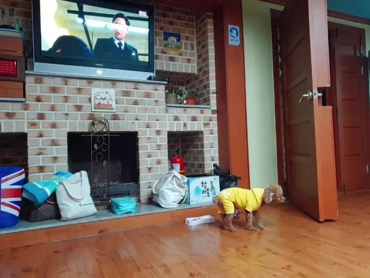깔끄막 희컨집 사진 3