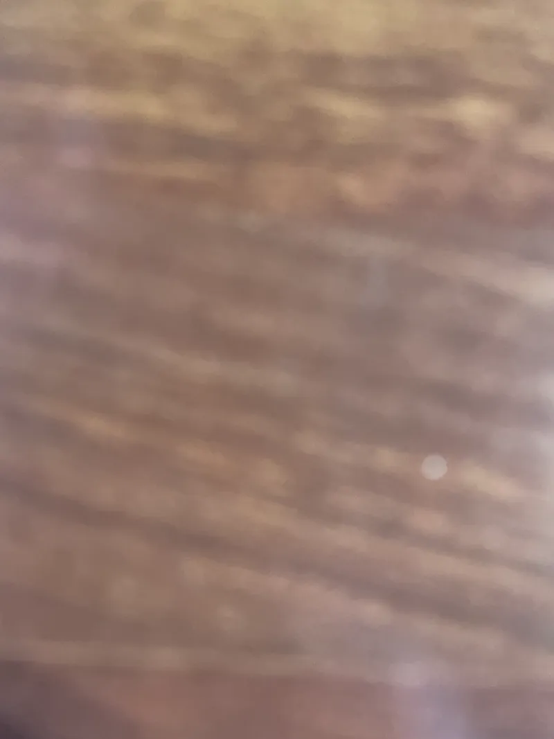 오들락 사진 5