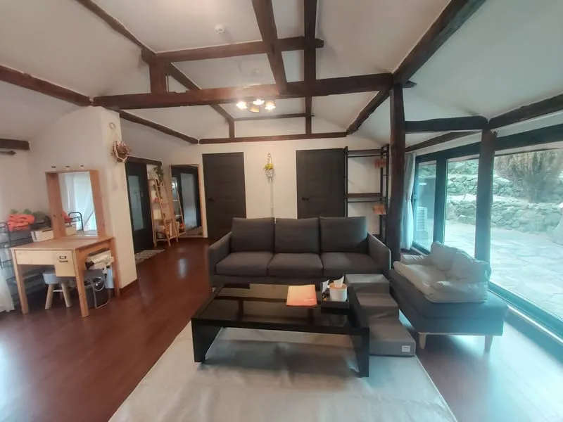 달시 사진 2