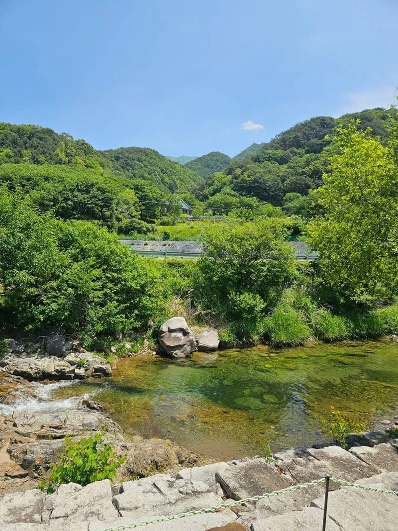 콜펜션 사진 2