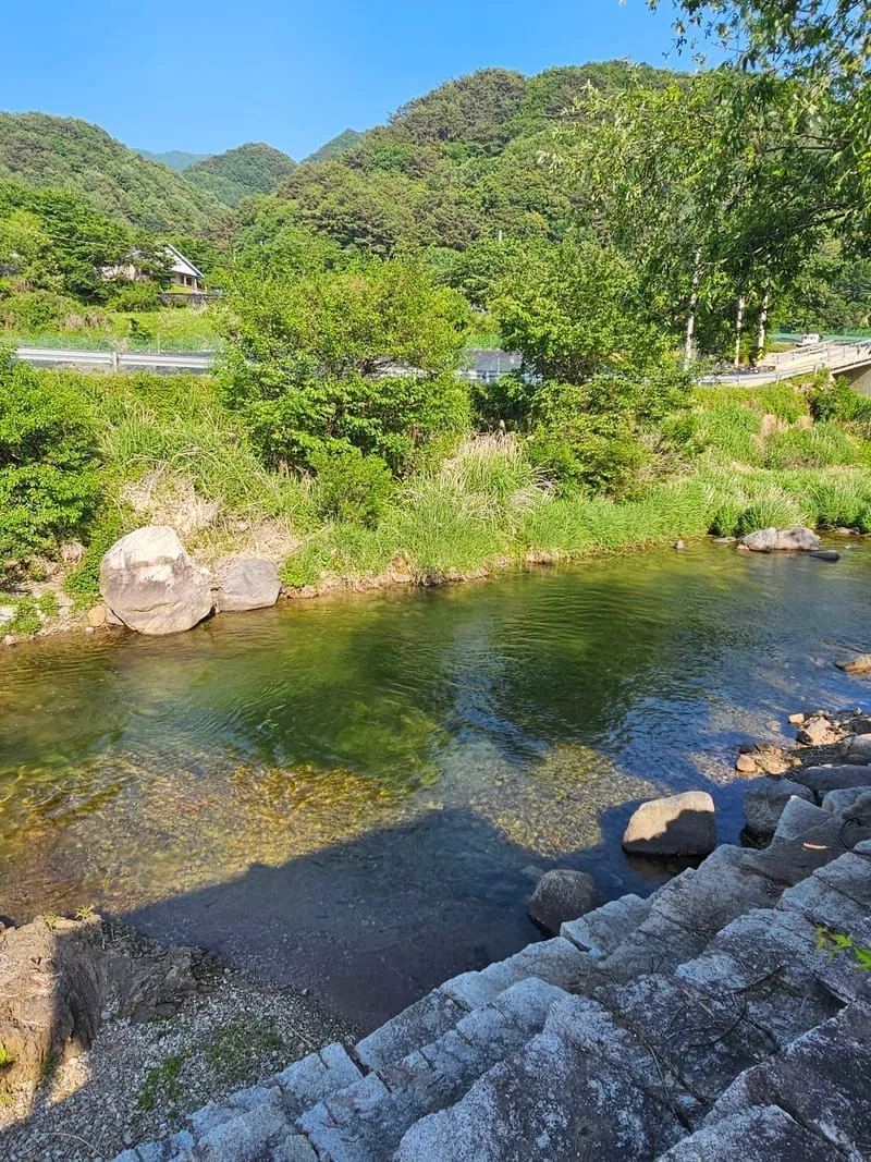 콜펜션 사진 4