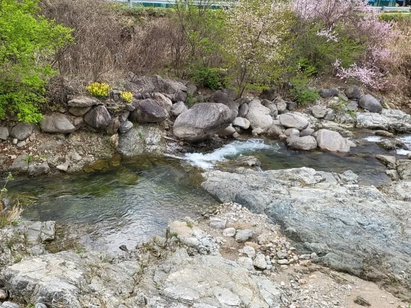 콜펜션 사진 5