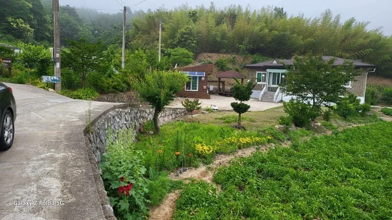 대나무숲 팬션 사진 1